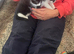 4 adorable kittens looking for their forever loving families