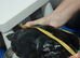 Water Turtle Yellow bellied slider couple
