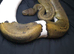 True Pied Ball Python Breeder Female (65%)