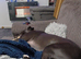 Bella needs a home