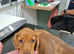 Lovely little miniature dachshund tiny girl