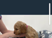 Cockapoo puppies for sale