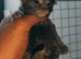 CHAMPION LINE xxl cubs