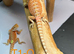 Baby bearded dragons