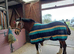 Large indoor stable block