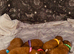 Charming Cavapoo’s from our girl.