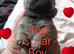 6 Chow Chow Puppies kc registered