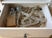 Corn Snake and Enclosure