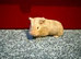 3 smooth sows