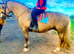 Bombproof happy hacker