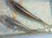 2x asagi Japanese koi