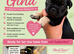 BEAUTIFUL KC FRENCH BULLDOG PUPPIES