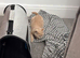 British shorthair male