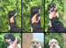 3-gorgeous males looking for a forever home