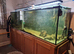 1200L fish tank - with accessories - will be fully cleaned/emptied