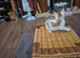 Male kitten
