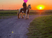 12.2/3hh 6 year old cob mare