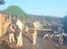 2yr old gelding
