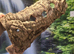 CORK BARK