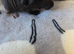 1 skinny pig boy ready to reserve