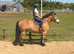 Stop look and appreciate!! what a horse!!
