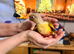 Beautiful baby pineapple conures ready by mid to end of October