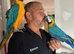 Beautiful male and female blue and gold Macaws 5 & 6 years old