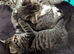 Silver tabby kittens £50