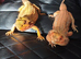 Male and female bearded dragons for sale