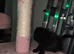 Female kitten looking for a good home