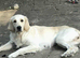 2 boys available