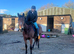 Thoroughbred mare