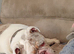 Rehome