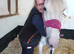 6y old Grey Cob Mare
