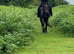 One in a million 16.1  thoroughbred gelding