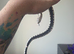 Axanthic Male Western Hognose – CB23 – £120 ONO