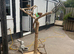 Parrot tree