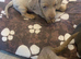 Dachshund