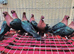 RARE COPPER GREEN WING ARCHANGEL PIGEONS
