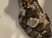 Juvenile Amazon milk frogs