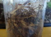 Drosophilia D. Hydei - Flightless Fruit Flies - Part Used Culture