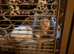 4 Male Rats