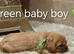 DNA TESTED CAVALIER KING CHARLES