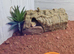 Leopard gecko