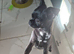 Black chug female 22,months old neutered