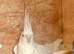 breeding pair of cockatails