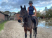 Mare all rounder chunky TB 15.2 10ys