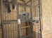 Pair of Galah Cockatoos – 5 Years Old – Proven Breeding Pair – Large Cage & Nest Box Included