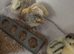 Chicks
