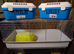 Rabbit/guinea pig cages